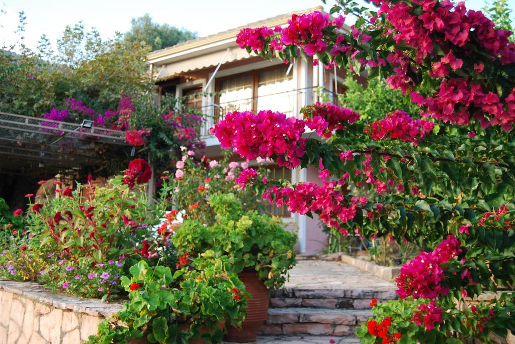 Villa Niki Plataria Exterior foto